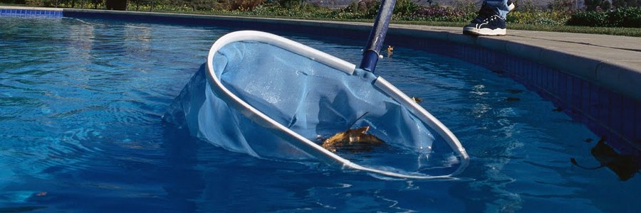 Poolreinigung mit dem Kescher