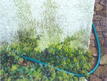 Vorher: Verputzte Fassade mit Kieselwurf, Sauberstein-Behandlung