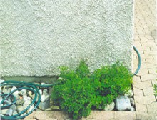 Nachher: Verputzte Fassade mit Kieselwurf, Sauberstein-Behandlung